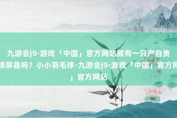 九游会j9·游戏「中国」官方网站就有一只产自贵州锦屏县吗？小小羽毛球-九游会j9·游戏「中国」官方网站