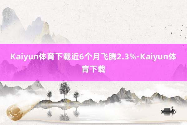 Kaiyun体育下载近6个月飞腾2.3%-Kaiyun体育下载